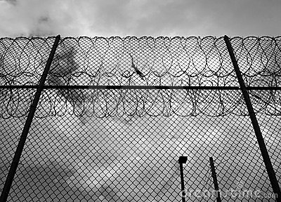 prison-fence-553524